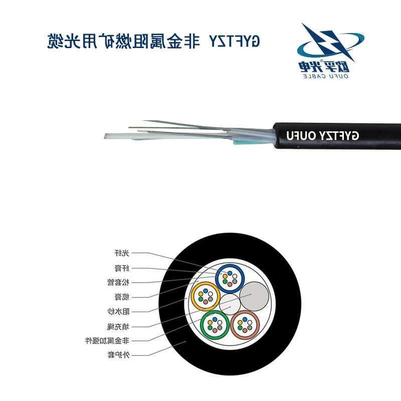 大理白族自治州GYFTZY光缆