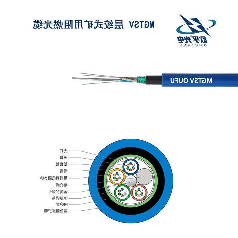 鄂尔多斯市MGTSV光缆